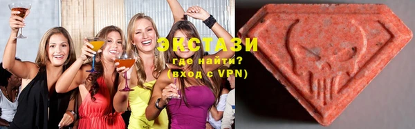 индика Киреевск