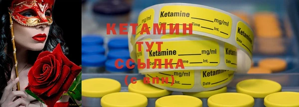 индика Киреевск