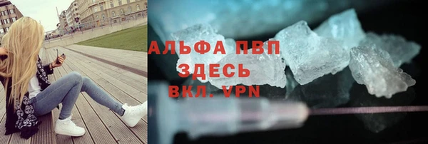 индика Киреевск
