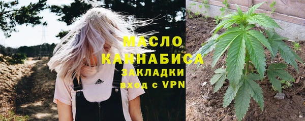 индика Киреевск