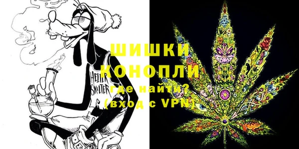 индика Киреевск