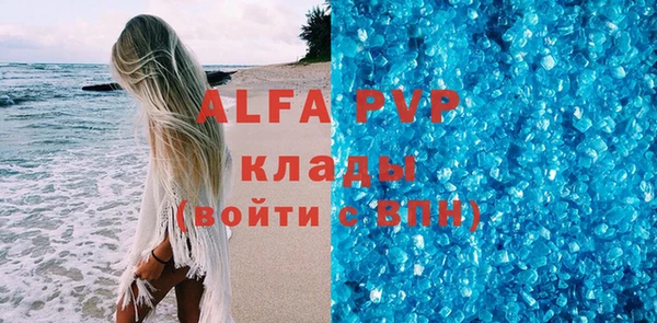 индика Киреевск