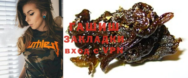 индика Киреевск