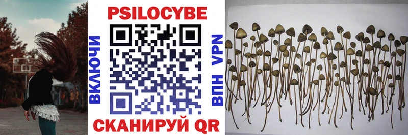 Псилоцибиновые грибы MAGIC MUSHROOMS  blacksprut зеркало  Александровск 